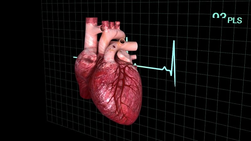 Причины развития миокардического кардиосклероза