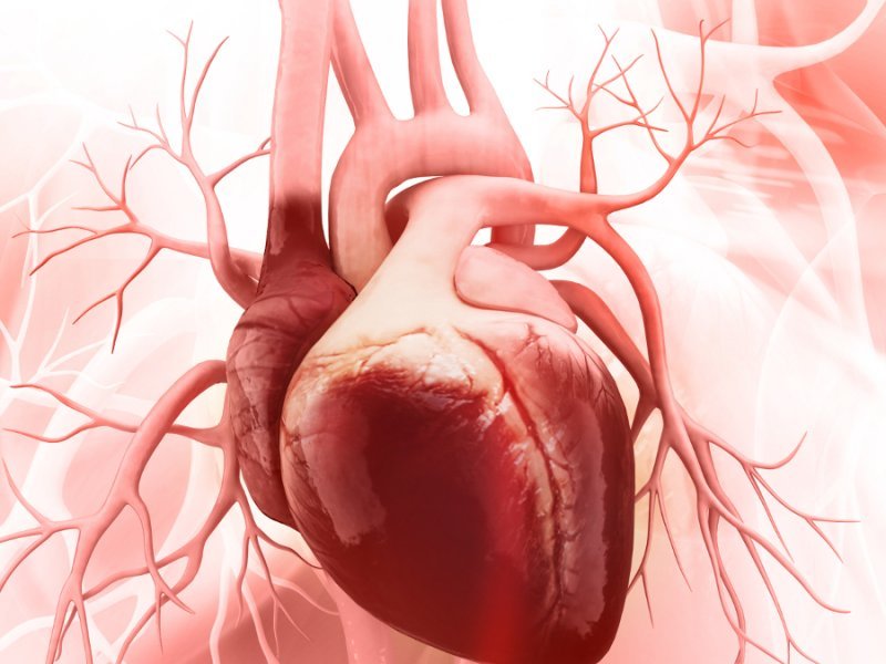 Специфика развития постмиокардитического кардиосклероза